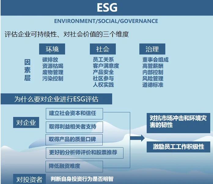 双碳战略咨询服务(双碳战略是什么意思)威海市