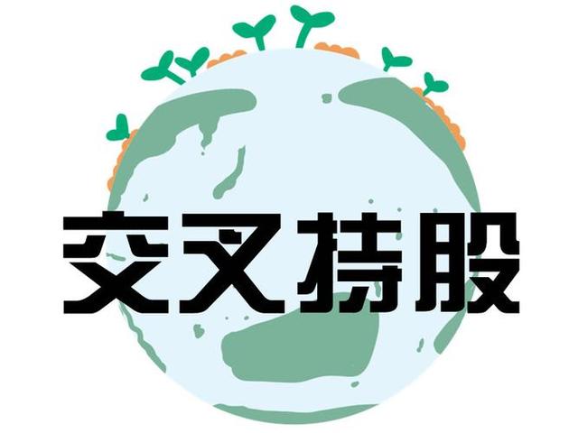 交叉持股安排设计(交叉持股怎么计算持股比例)威海市